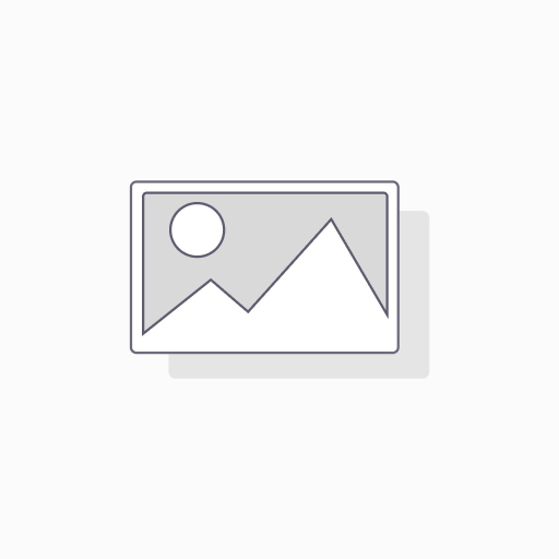 Arzopa A3C Pro 13.3 OLED with bag